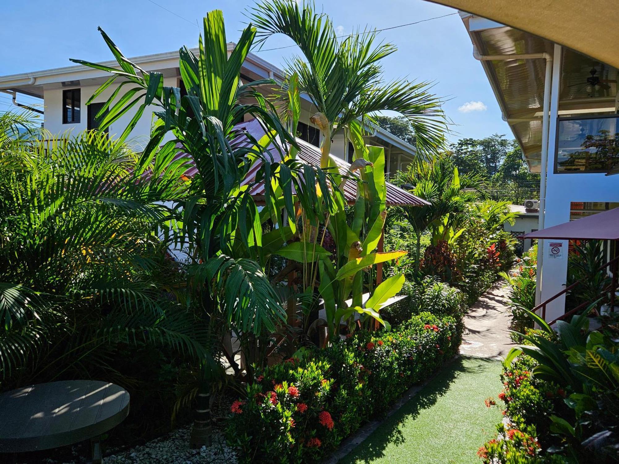 Ballena Rey Hotel Uvita Esterno foto
